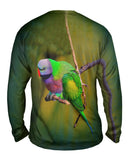 Colorful Derbyan Parakeet