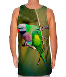Colorful Derbyan Parakeet