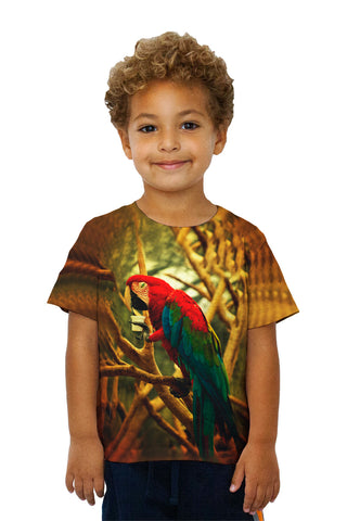 Kids Cafe Macaw