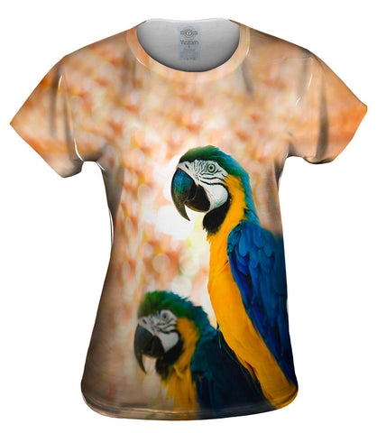 Duo Macaw