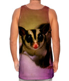 Blanket Sugar Glider