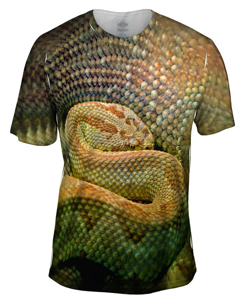 Watchful Rattle Snake Mens T-Shirt
