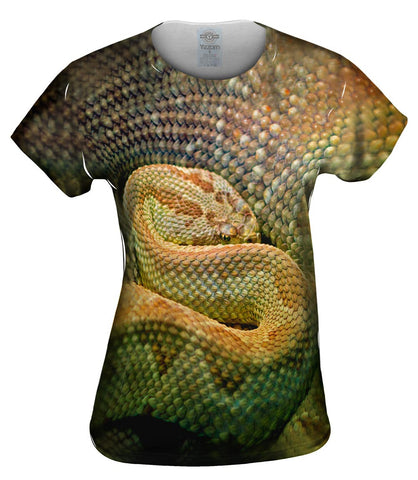 Watchful Rattle Snake