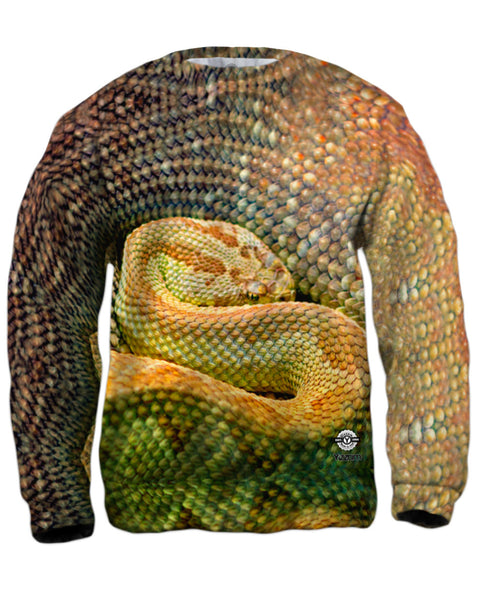 Watchful Rattle Snake Mens Sweatshirt
