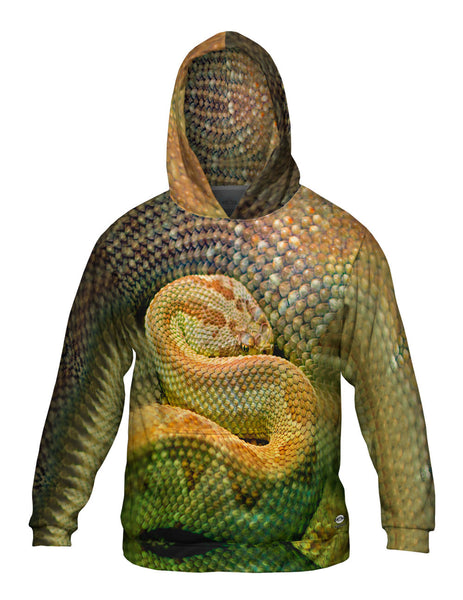 Watchful Rattle Snake Mens Hoodie Sweater