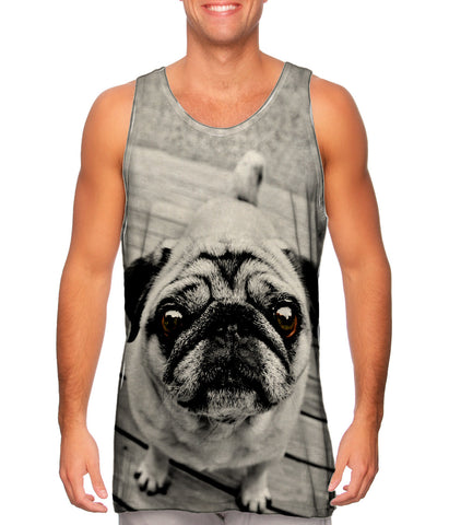 Deck Pug
