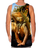 Coast Beach Iguana