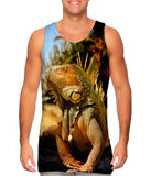 Coast Beach Iguana
