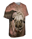 Pirate Beach Pug