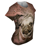 Pirate Beach Pug