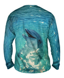 Vintage Dolphin