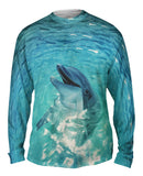 Vintage Dolphin