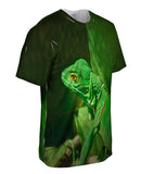 Green Iguana Jungle