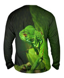 Green Iguana Jungle