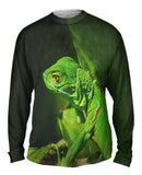 Green Iguana Jungle