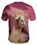 Arabian Camel
