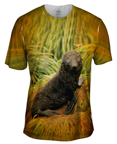 Black Grass Seal