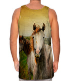 Duo Paint Horses