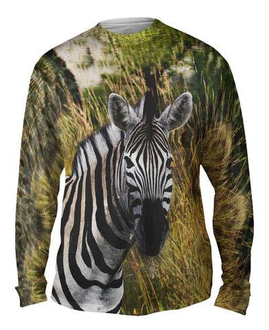 Vintage Metal Zebra