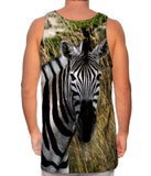 Vintage Metal Zebra
