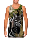 Vintage Metal Zebra