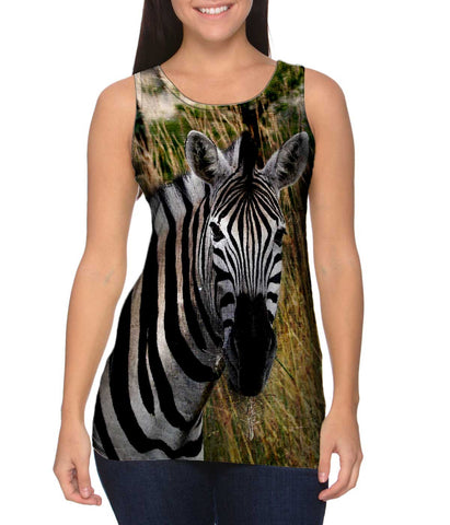 Vintage Metal Zebra