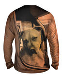 Driving Boxer Dog