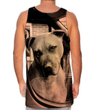 Driving Boxer Dog