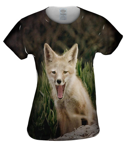 Tall Grass Fox