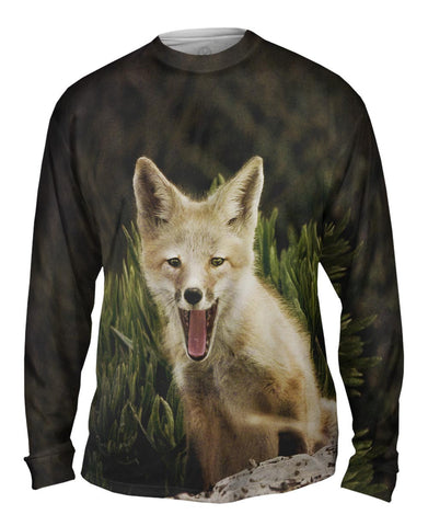 Tall Grass Fox