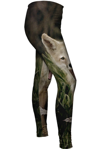 Tall Grass Fox