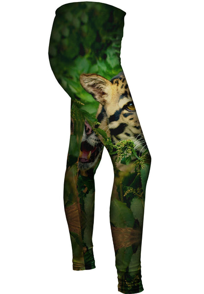Clouded Leopard Jungle Womens Leggings