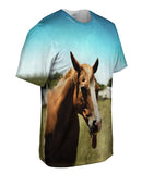 Funny Tongue Horse