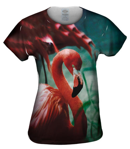 Sweet Flamingo