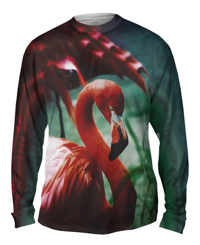 Sweet Flamingo