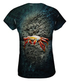 Sally Lightfoot Crab