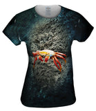 Sally Lightfoot Crab