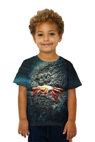 Kids Sally Lightfoot Crab
