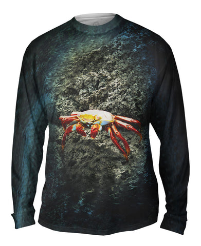 Sally Lightfoot Crab