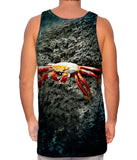 Sally Lightfoot Crab