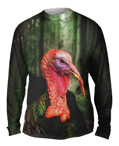 Forest Turkey