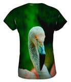 Solo Flamingo