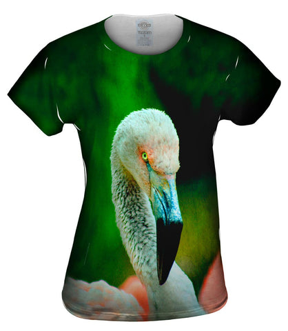 Solo Flamingo