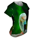 Solo Flamingo