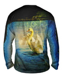 Pond Swan
