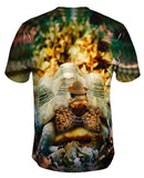 Grumpy Tortoise