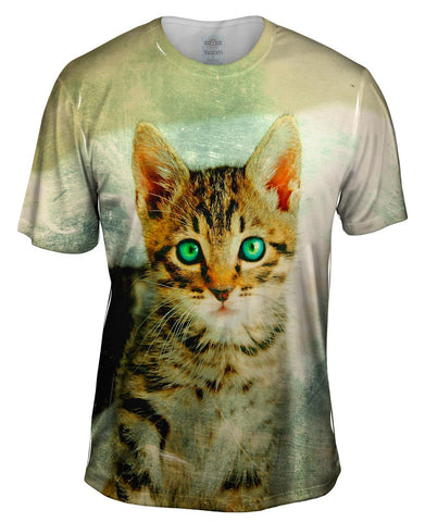 Shear Kitten