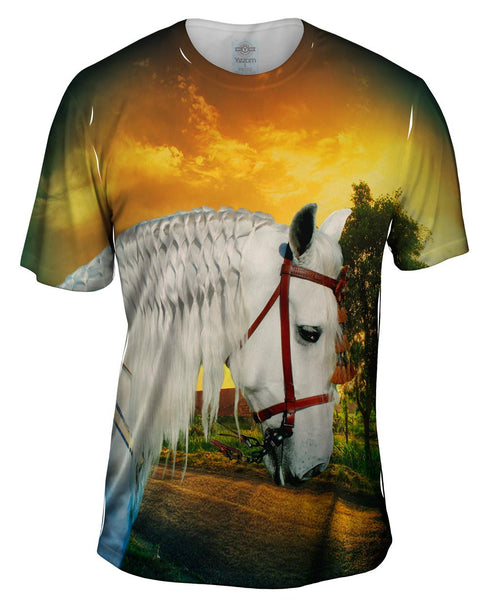 Spanish Paso Fino Mens T-Shirt