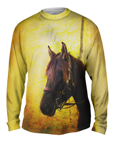 Yellow Pride Horse
