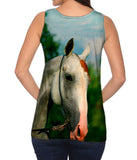 Paso Fino Model